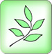 green_leaf